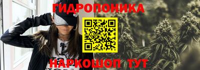 гидра Кингисепп