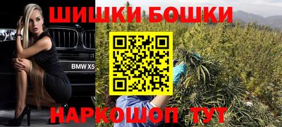 гидра Кингисепп