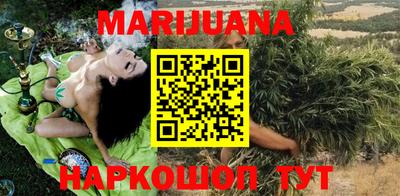 гидра Кингисепп