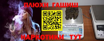 гидра Кингисепп