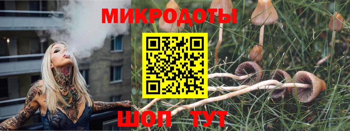 Долгопрудный  Псилоцибиновые грибы прущие грибы  Вход с VPN  Галлюциногенные грибы Magic Shrooms 
